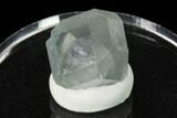Green Cuboctahedral Fluorite Crystal on Sparkling Quartz - China #161776-1